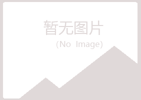 鹤岗迷失邮政有限公司